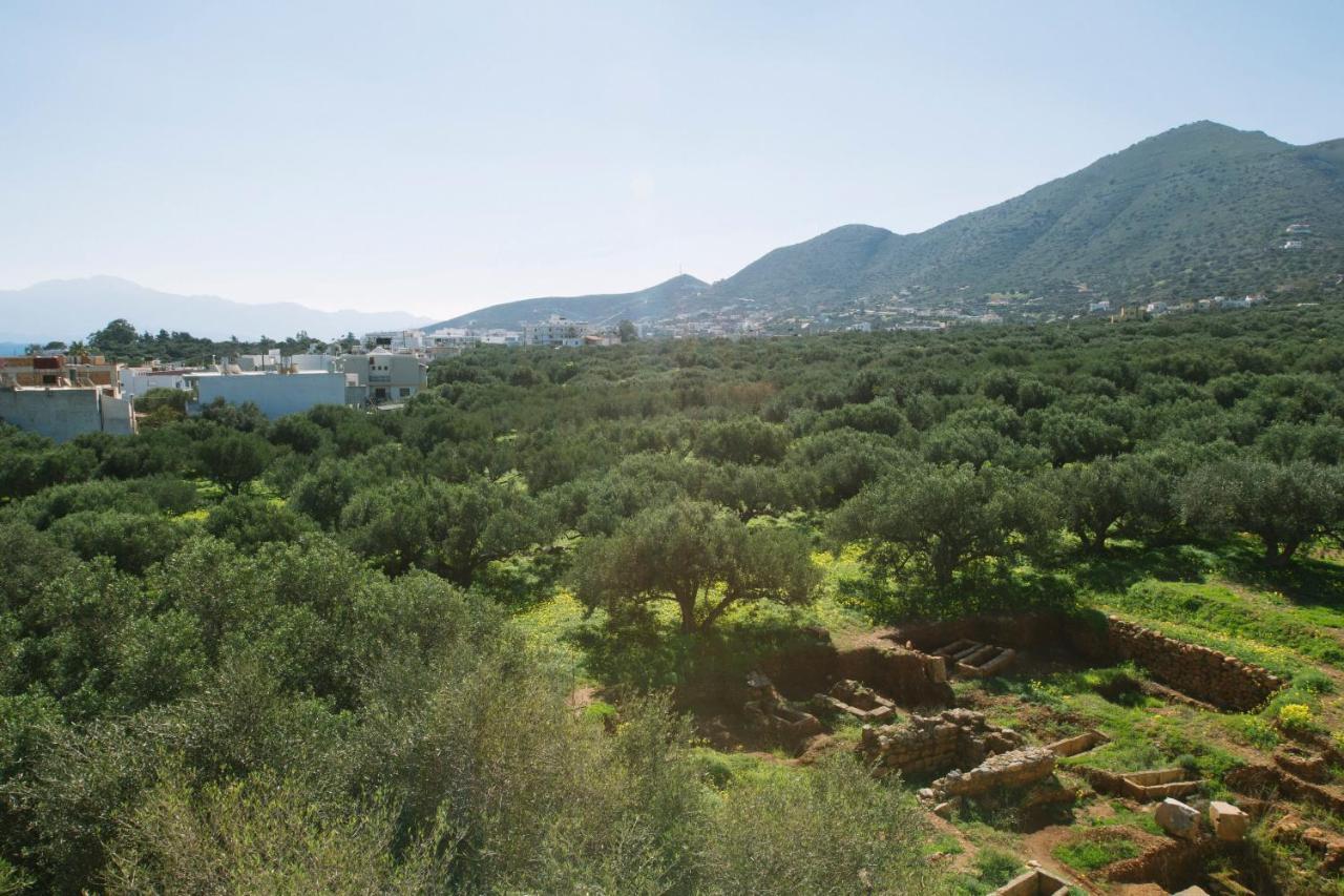 Elounda George Studios Dış mekan fotoğraf